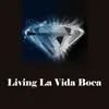 About Living La Vida Boca Song