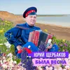 Васильки