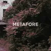 About Metafore Singolo Song