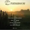 About Draumen Song