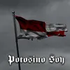 About Potosino Soy Radio Edit Song