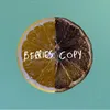 About Copy Song