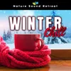 Winter Zen Garden: Winter Sounds of Nature & Asian Meditation Music