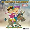 About Mi Burrito Sabanero Song