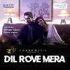 About Dil Rove Mera Song