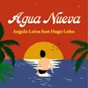 Agua Nueva