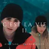 About C´est la Vie II Song