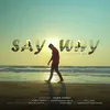 About Say Why Song