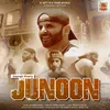 About Junoon Song