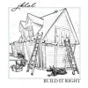 About Build It Right Song