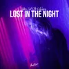 About Lost in the Night Song
