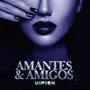 About Amantes & Amigos Song