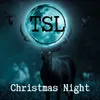 Christmas Night (feat. Peter Klett)