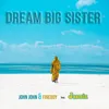 About Dream Big Sister Radio Edit Song