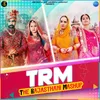 About The Rajasthani Mashup Song