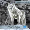 About Ergenekon Song