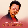 About Hatte Halinchha Song