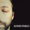 About Silencios Posibles Song