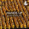 About Hands Up Song