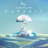 About Capsule Song