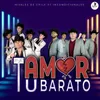 About Tu Amor Barato Song