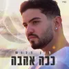 About ככה אהבה Song