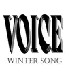 About Winter Song Song