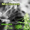 About Marijuana Song