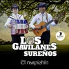 About El Raspachín Song