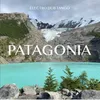 Patagonia