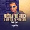 About Mostra Pro Seu Ex o Que Ele Tá Perdendo Song