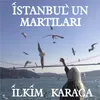 About İstanbul'un Martıları Song