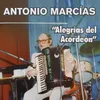 About Alegrías del Acordeón Song