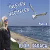 About İnleyen Nağmeler, Vol.1 Song