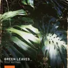 About Green Leaves Song