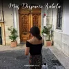 About Más Despacio, Isabela Song