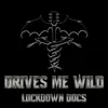 About Drives Me Wild Song