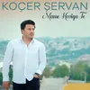 About Mame Hevîya Te Song