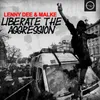 About Liberate the Aggression Song