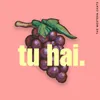 About Tu Hai Song