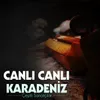 Kim Bu Gözleri Güzel