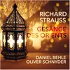 Gesänge des Orients, Op. 77: II. Schwung