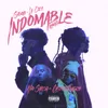 Indomable Remix