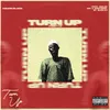 About Turn Up Song