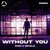 About Without You Song