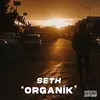 About Organik Song