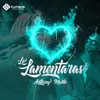 About Lo Lamentaras Song