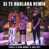 About Si Te Hablara Remix Song