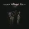 About Slowly Through Youth Song