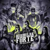 About Quadrilha Forte Song